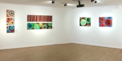 <p><strong>Installation View, <i>Between Macro & Micro</i>, Alliance Française Dubai, 2019</strong><br>
Lineament and Globule series																																																																																																																																																																																																																																																																																																		</p>